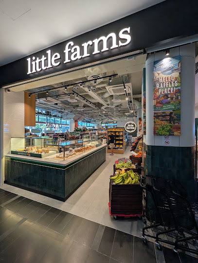Little Farms Market, One Raffles Place, Singapore