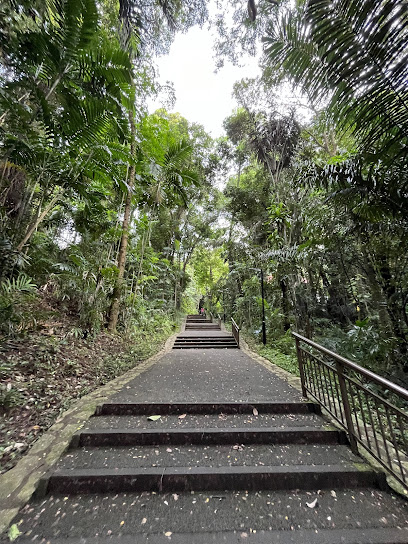 Marang Trail, Singapore