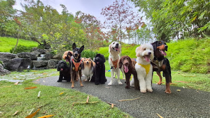 Up For Paws, Singapore