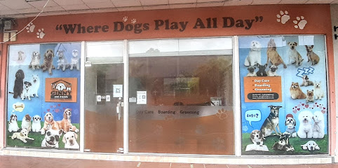 Kaizen 4 Dogs Training & Daycare, Singapore