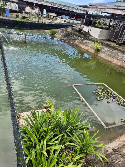 Imperial Arowana Breeding Farm, Singapore