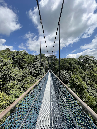 MacRitchie Nature Trail, Singapore