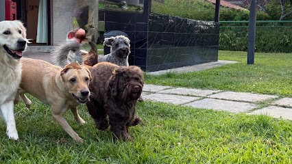 Ozzy & Friends, Singapore