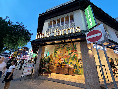 Little Farms Market, Holland Village (Grocery store), Singapore