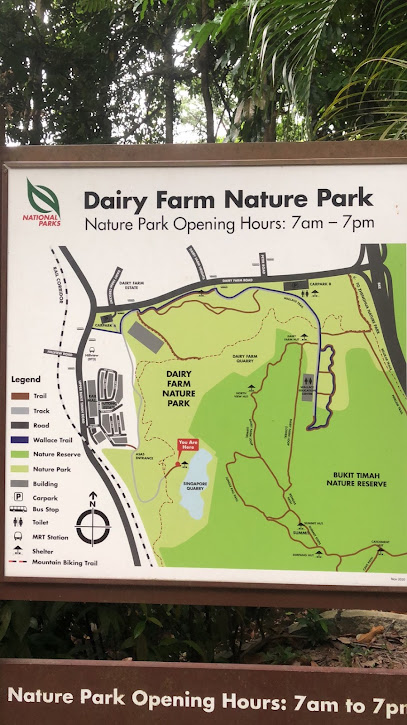 Dairy Farm Nature Park, Singapore