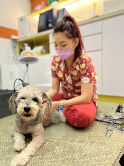RehabVet Clinic - Physiotherapy and Hydrotherapy, Singapore