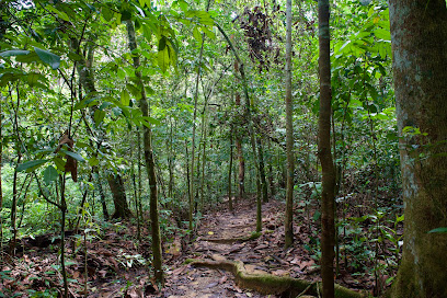 Chestnut Nature Park, Singapore