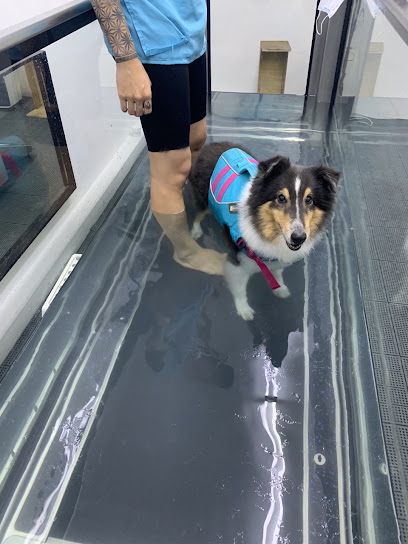 Veterinary Rehabilitation and Hydrotherapy Centre, Singapore