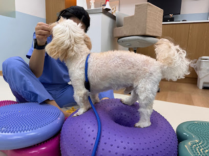 Advanced Animal Rehabilitation - Pet Hydrotherapy & Physiotherapy in Singapore