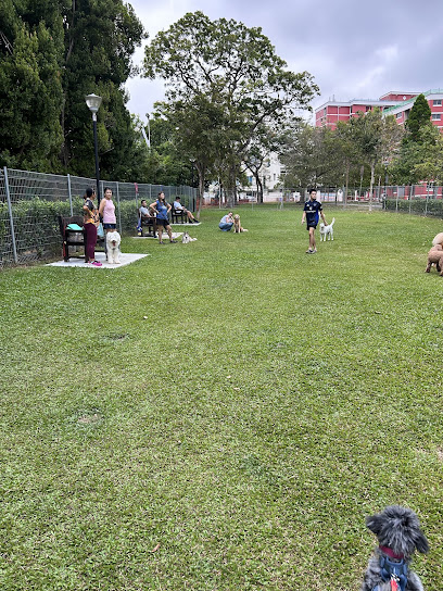 Surin Park Dog Run, Singapore