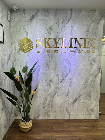 Skyline Business Consulting Pte. Ltd., Singapore