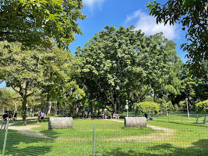 Dog Run @ Bishan Park, Singapore