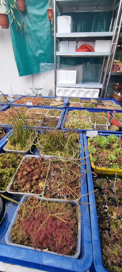 SGVenusFlytrap Conservatory, Singapore