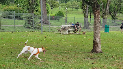 Sembawang Park Dog Run, Singapore